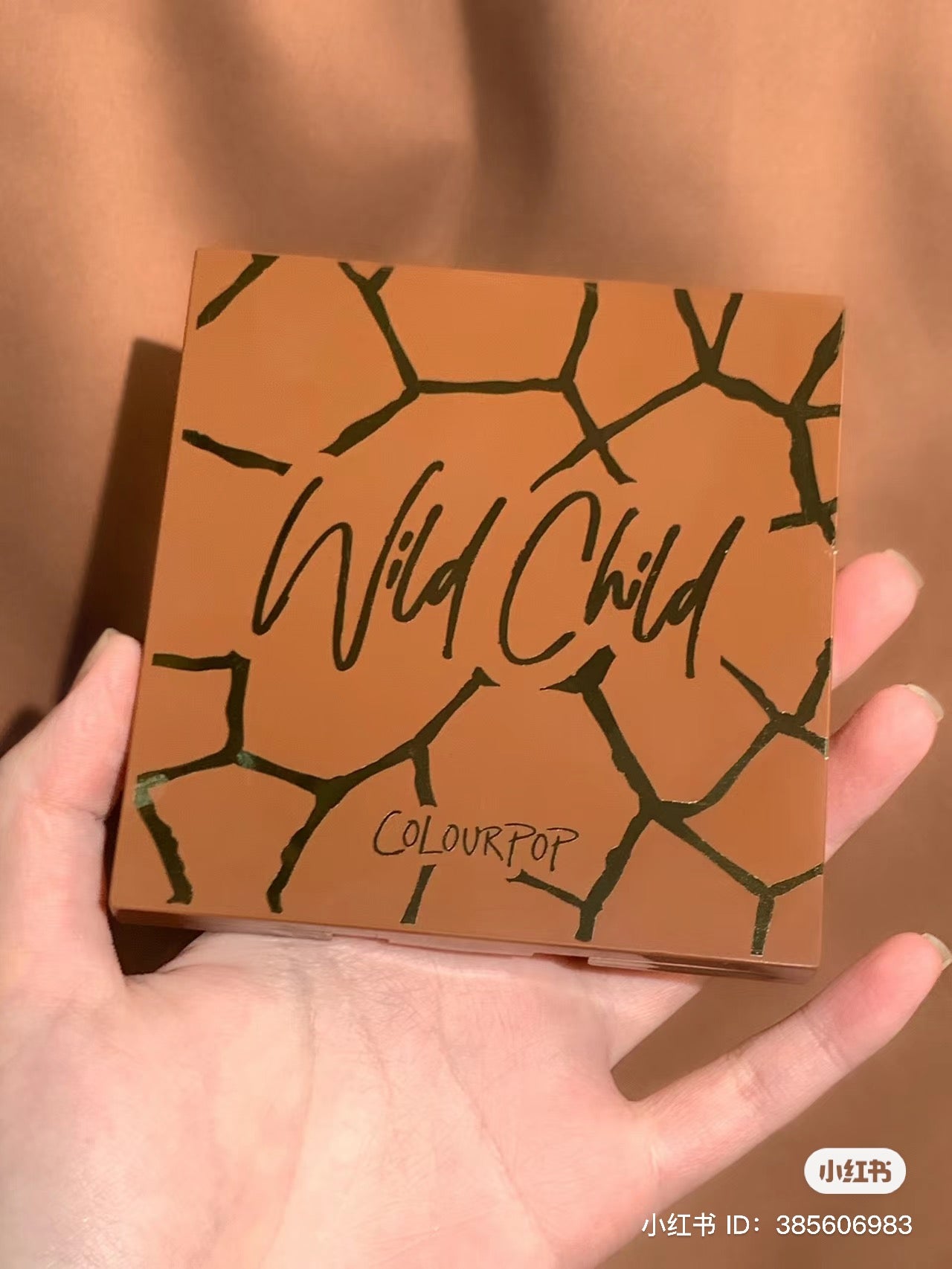 Colourpop | Wild Child 9色眼影盤