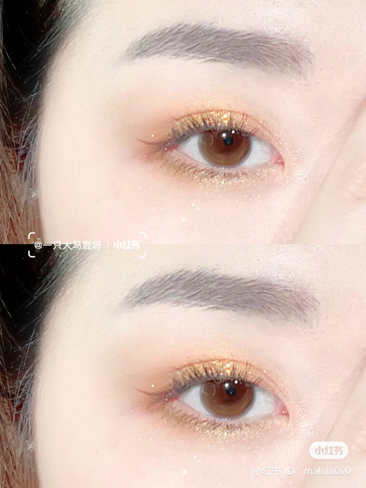 Colourpop | Boudoir Noir 12色眼影盤