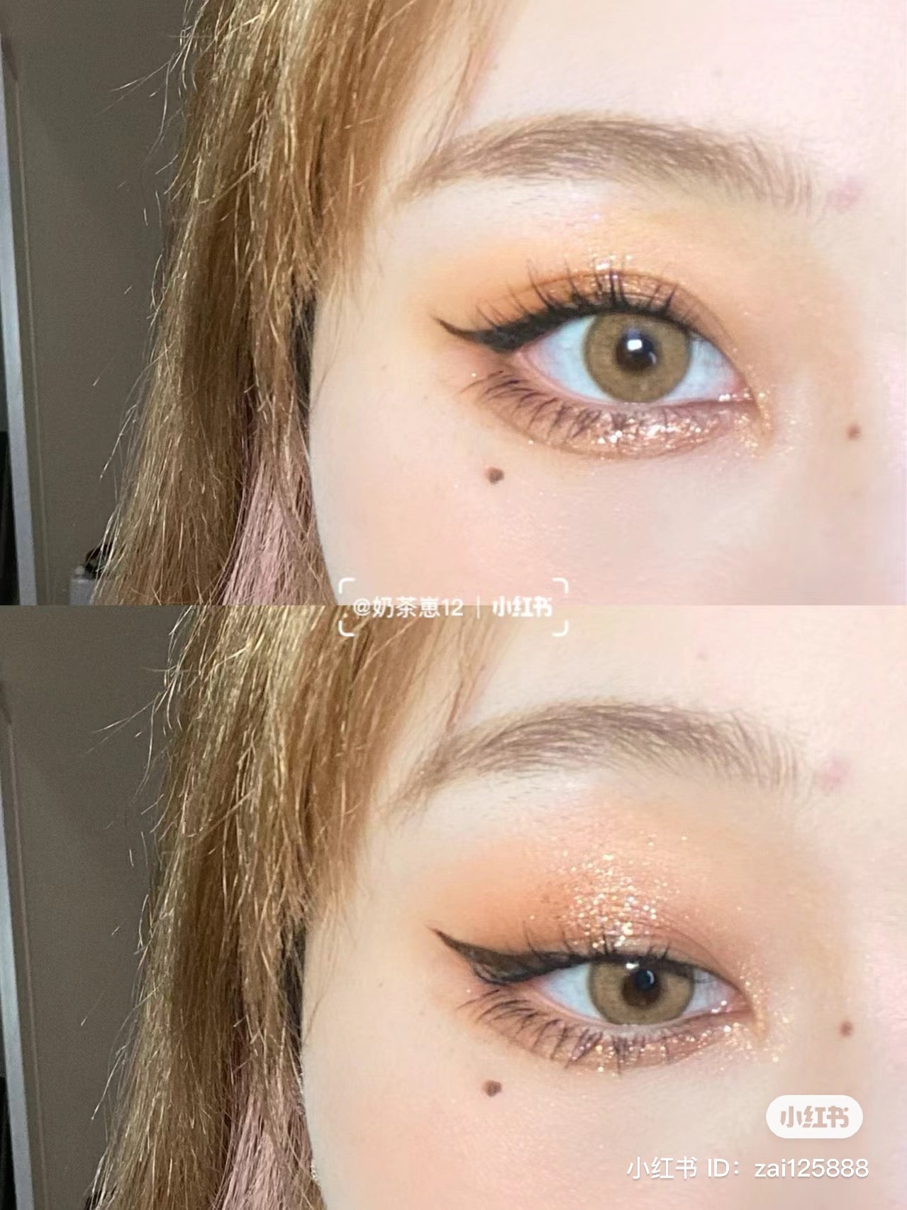 Colourpop | Wild Child 9色眼影盤