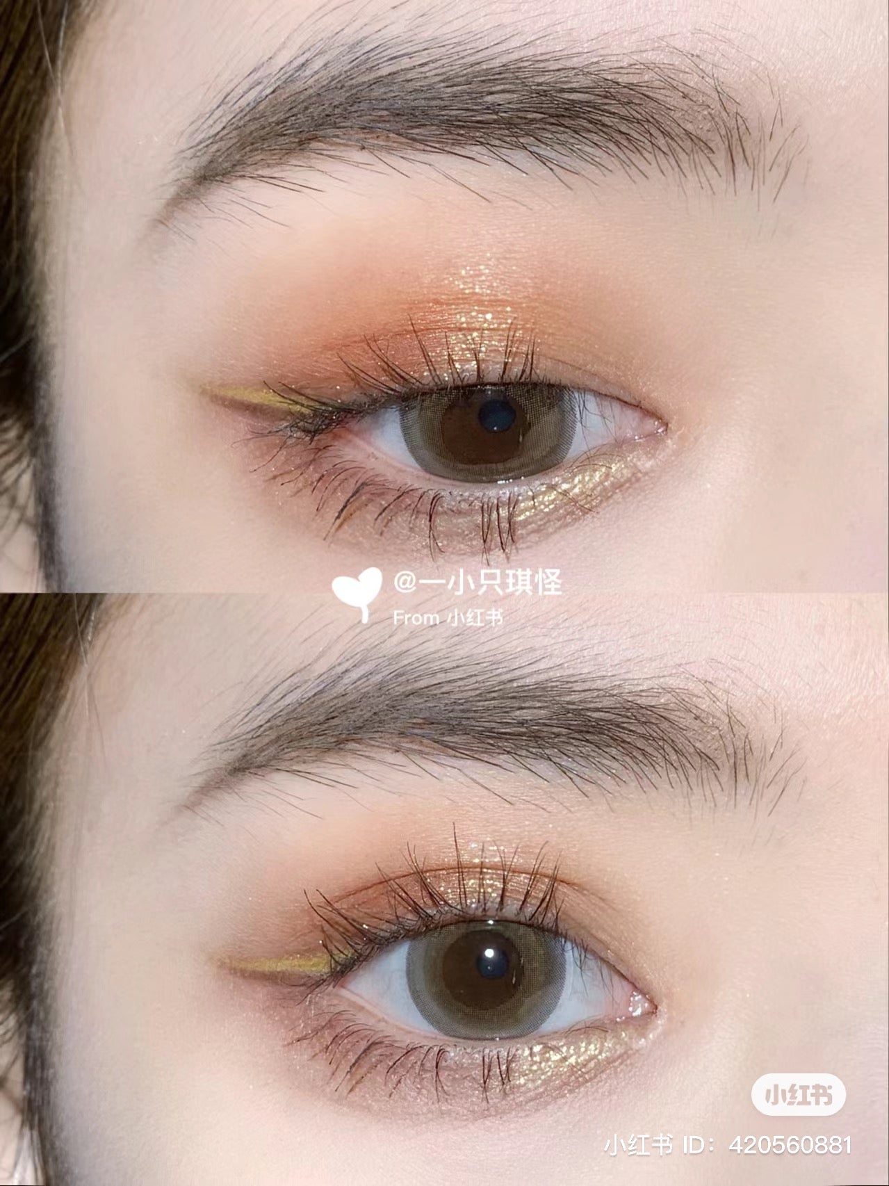 Colourpop | Limoncello 12色眼影盤