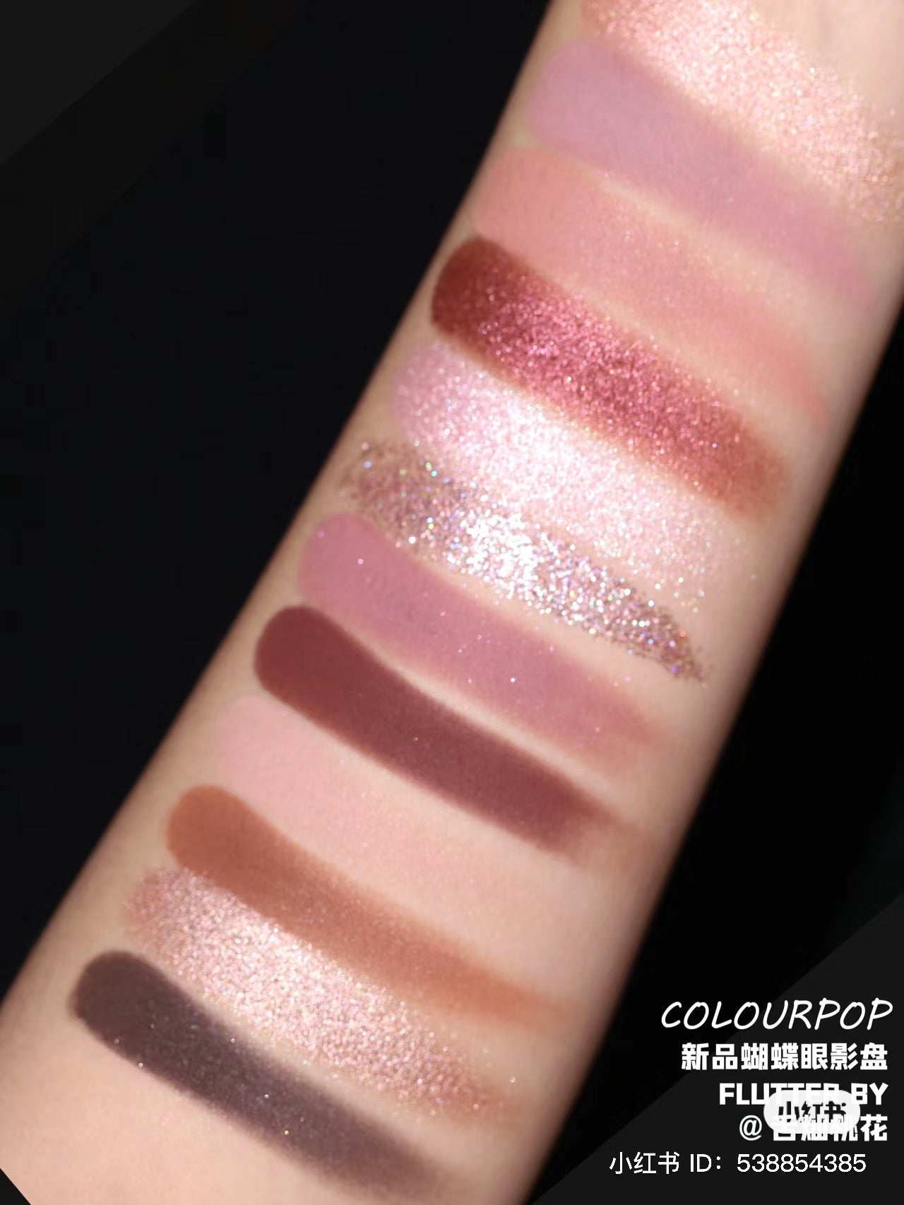 Colourpop | Flutter By 12色眼影盤