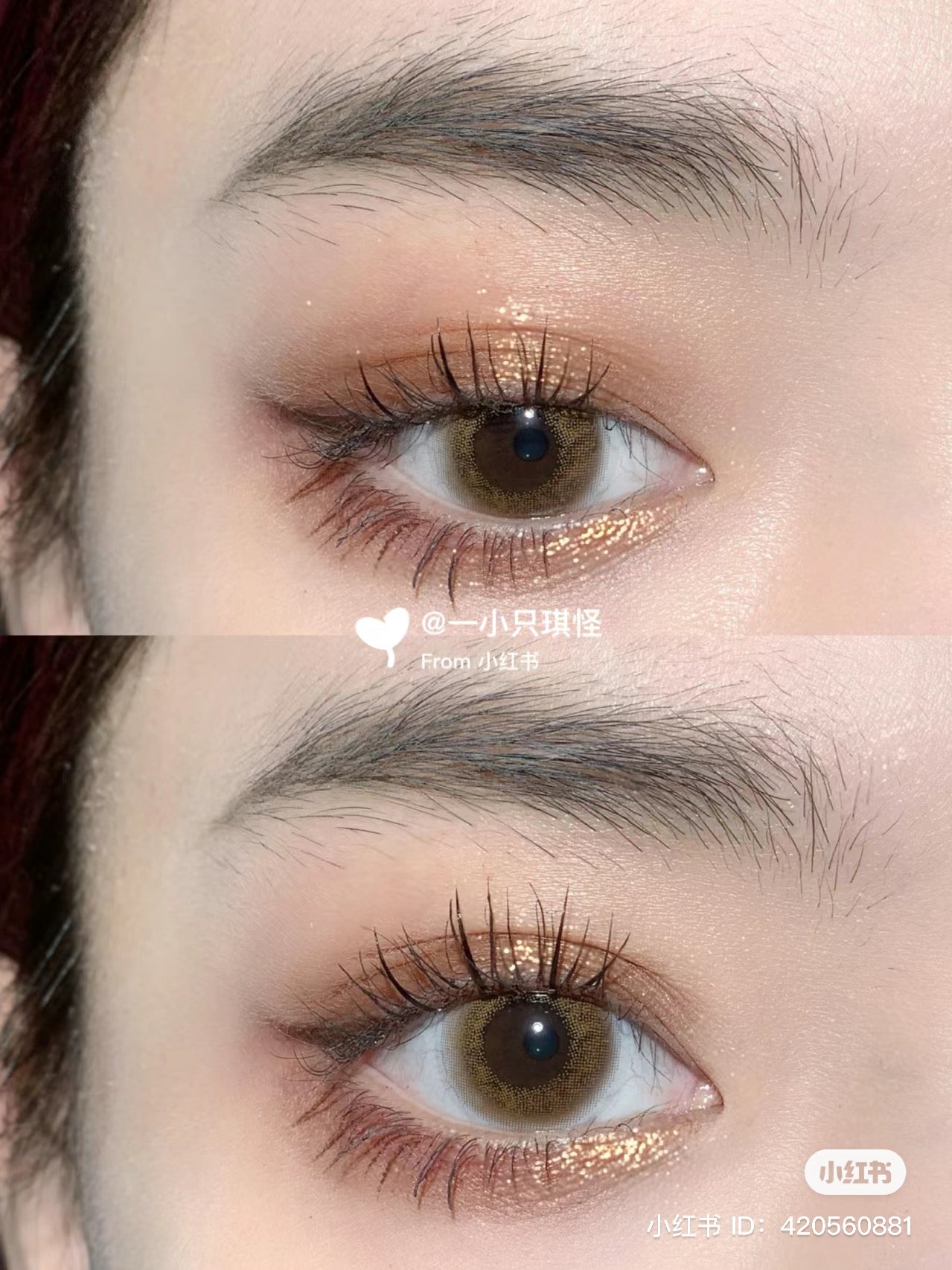 Colourpop | Wild Child 9色眼影盤