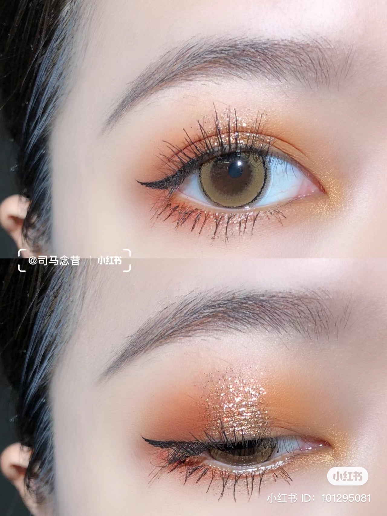 Colourpop | California love加洲摯愛 | 12色眼影盤