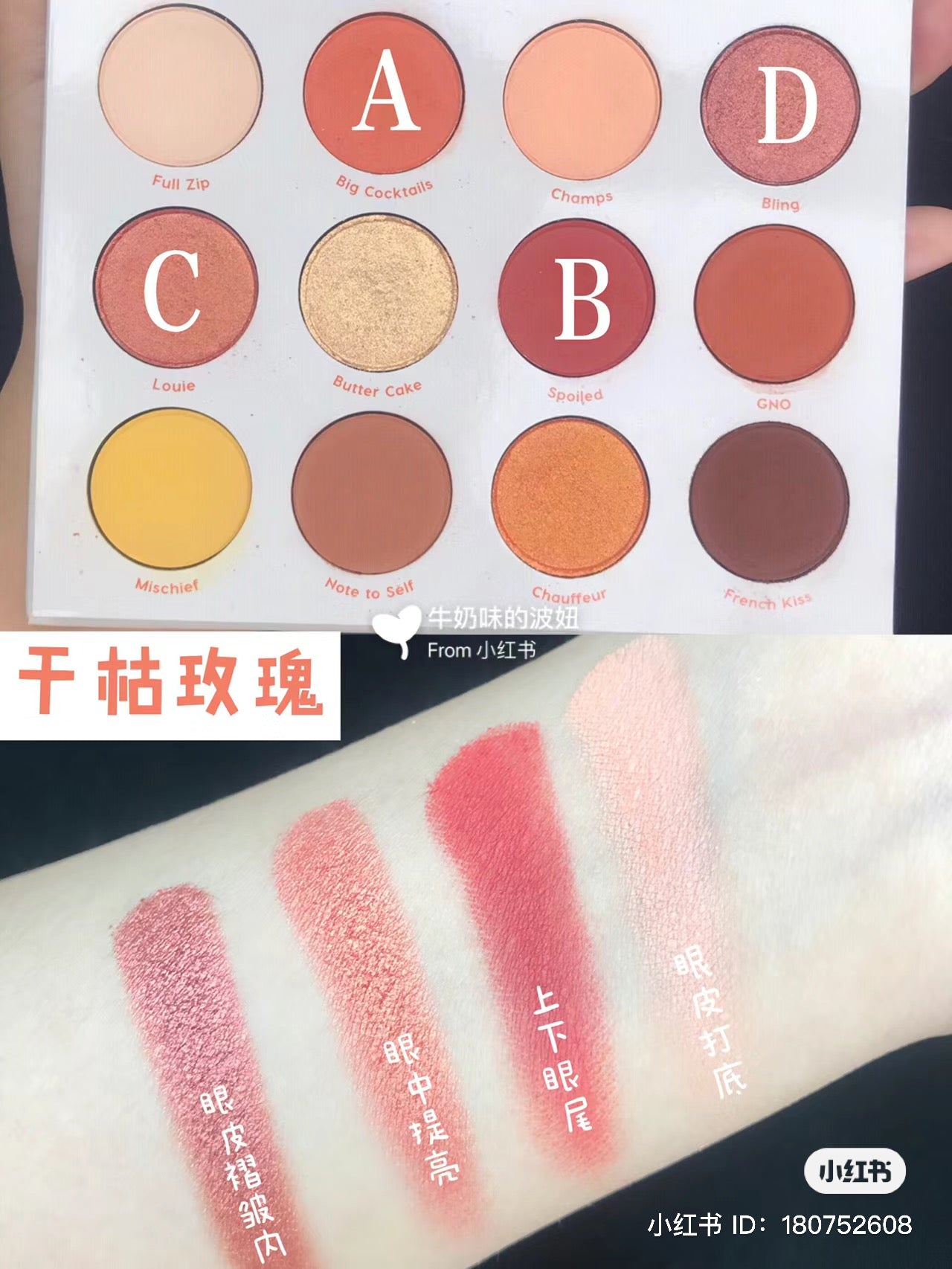 Colourpop | yes please 日落盤 |  12色眼影盤