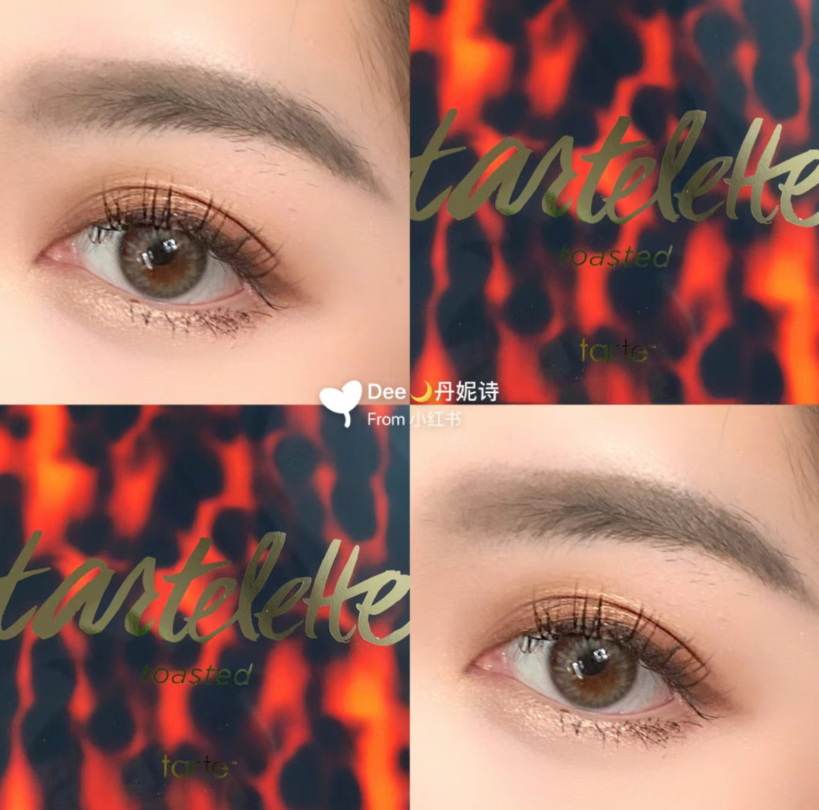 Tarte | 第三代亞馬遜泥眼影盤Toasted
