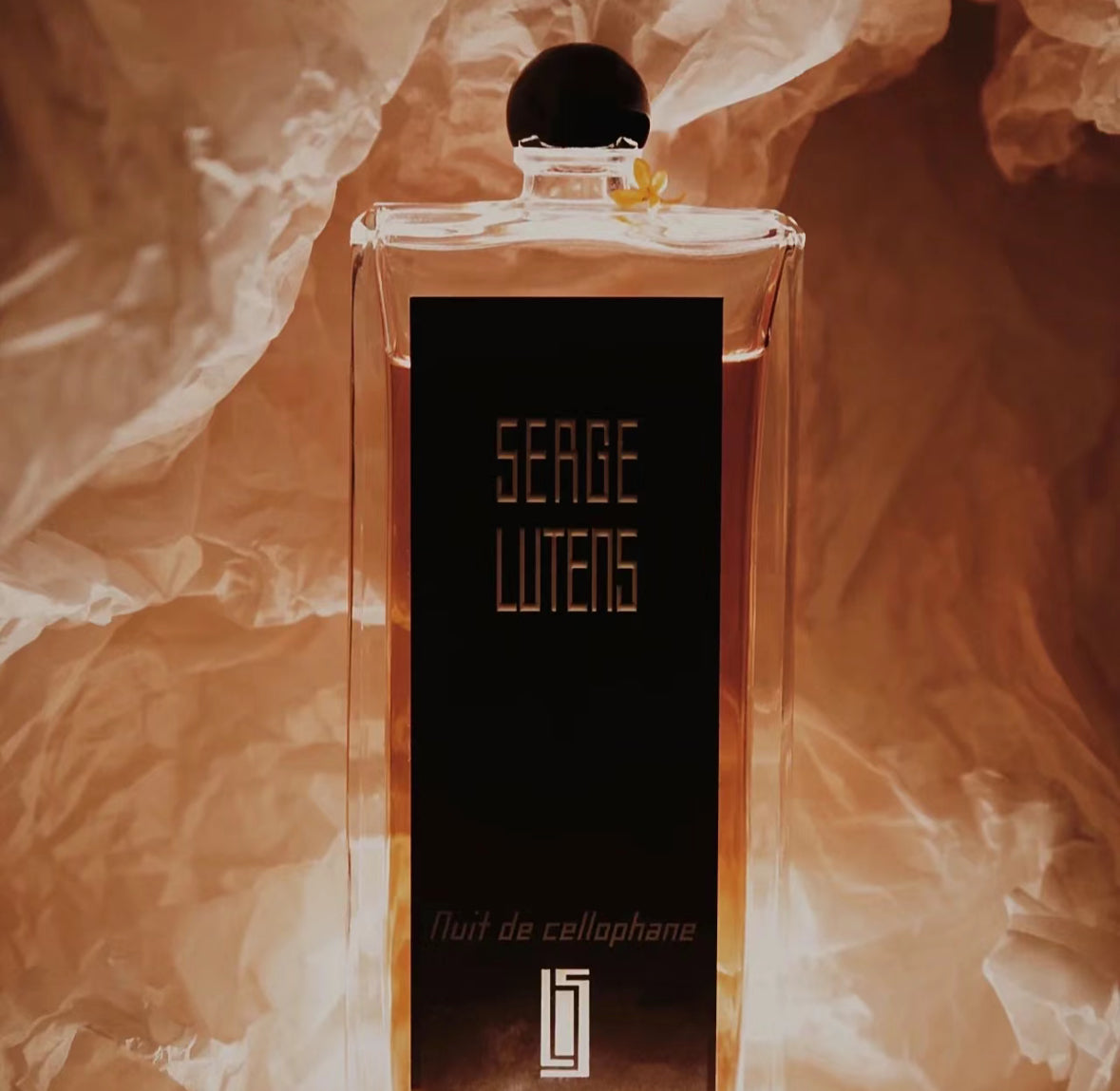 Serge Lutens | 八月夜桂花 | 中性香水| 100ml