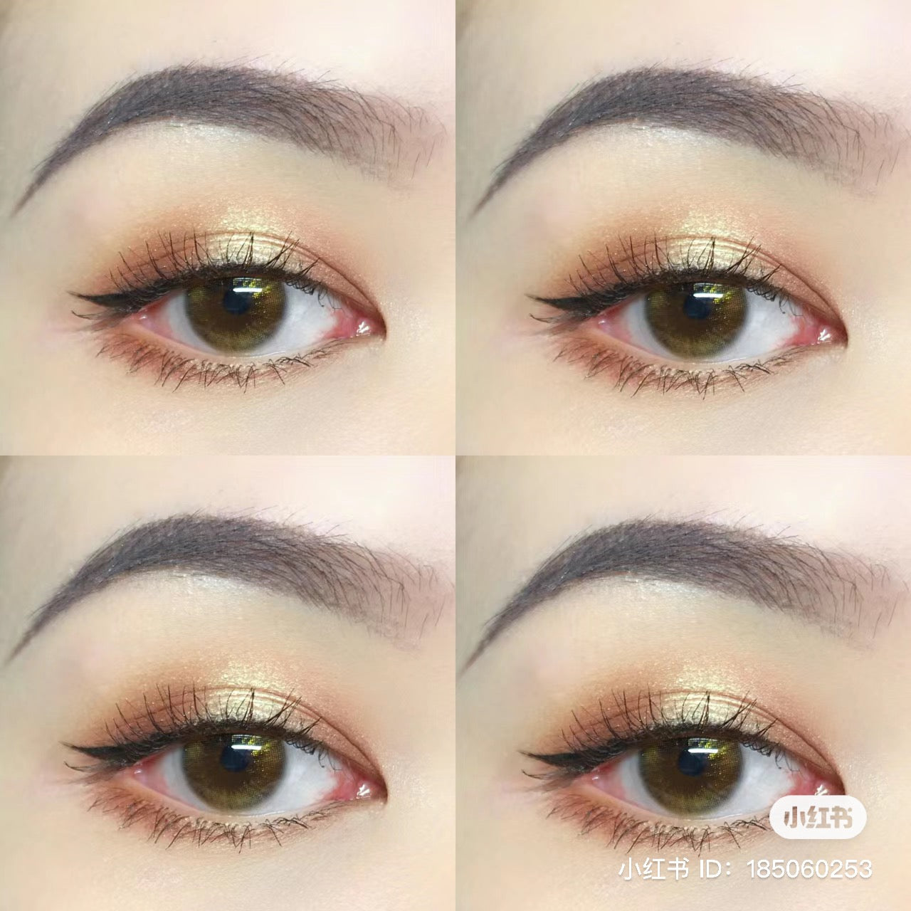 Anastasia Beverly Hills |文藝復興眼影盤