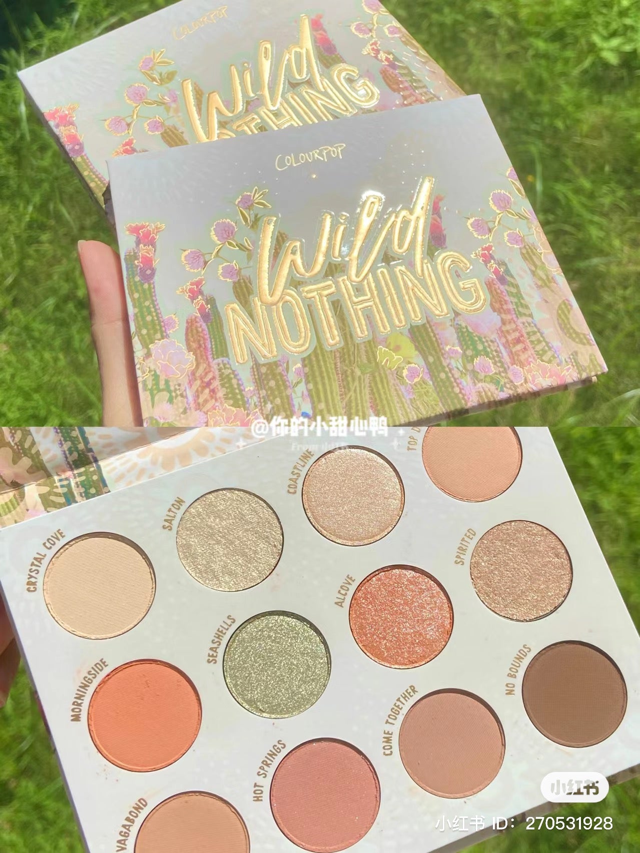 Colourpop | wild nothing 12色眼影