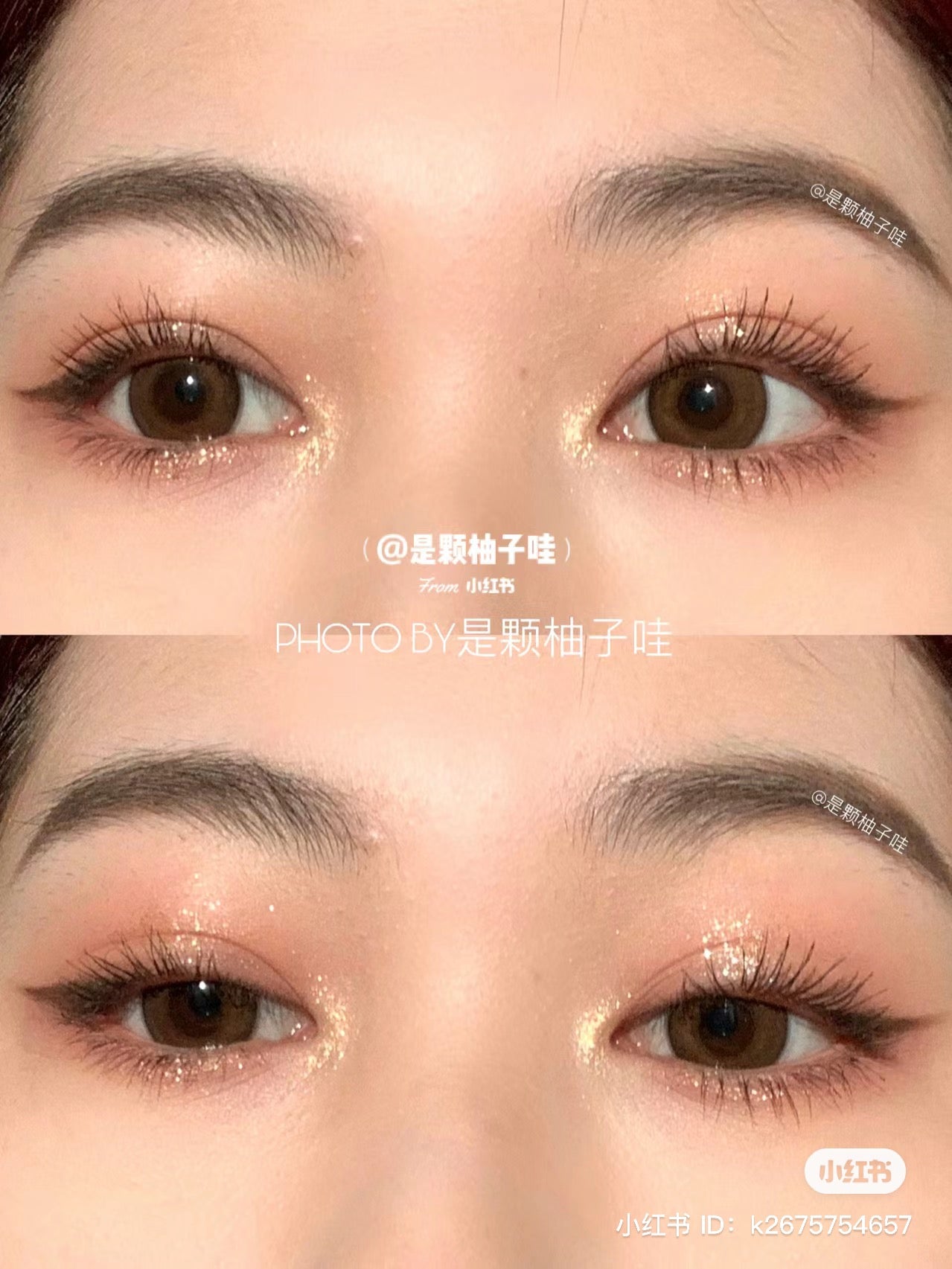 Colourpop | wild nothing 12色眼影