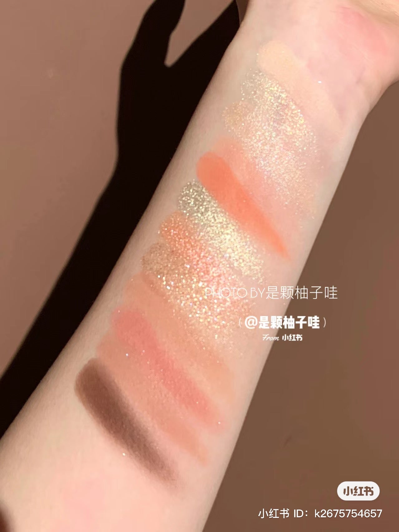 Colourpop | wild nothing 12色眼影