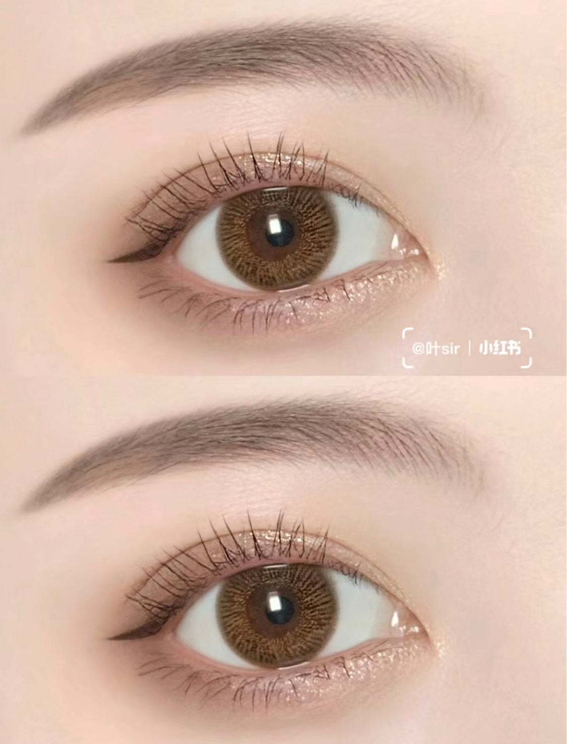 TomFord |四色眼影|01 Golden Mink