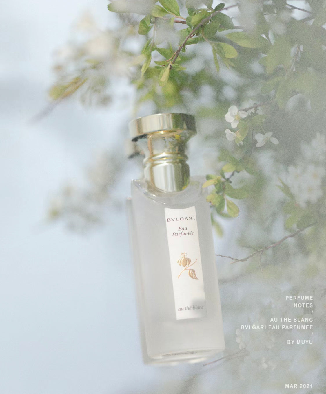 Bvlgari|寶格麗|白茶古龍水 75ML