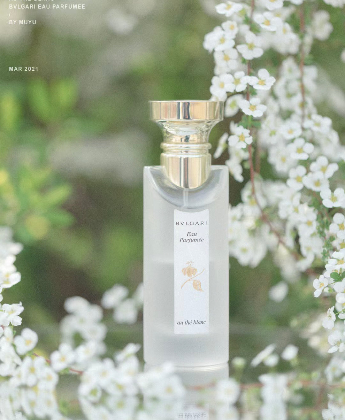 Bvlgari|寶格麗|白茶古龍水 75ML