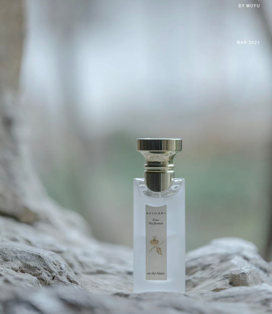 Bvlgari|寶格麗|白茶古龍水 75ML