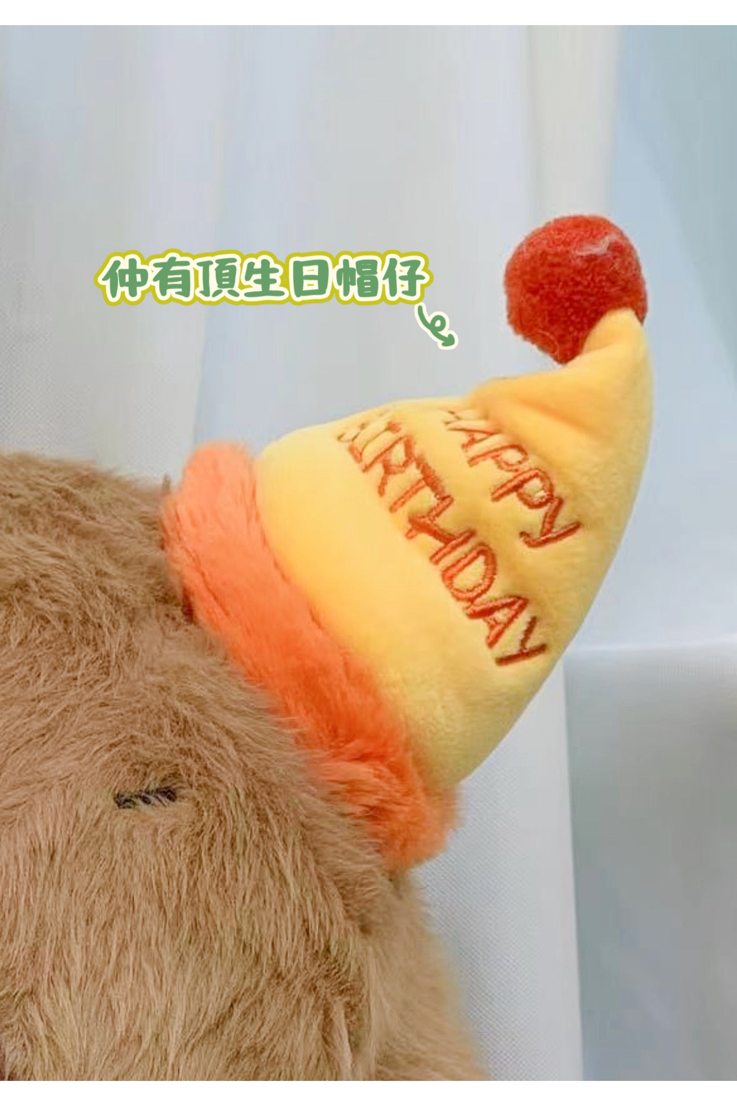 卡皮巴拉|生日毛公仔(大號)