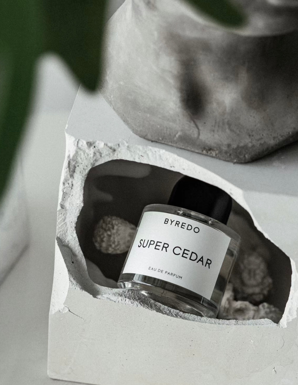 Byredo|Super Cedar |超級雪松