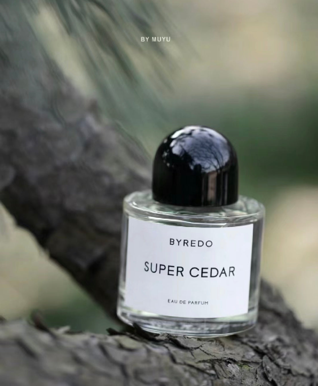 Byredo|Super Cedar |超級雪松