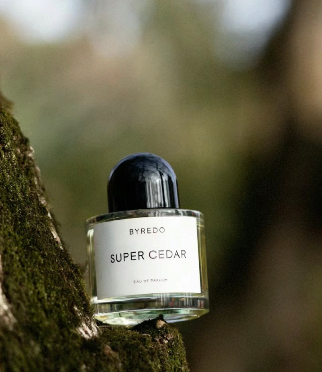 Byredo|Super Cedar |超級雪松