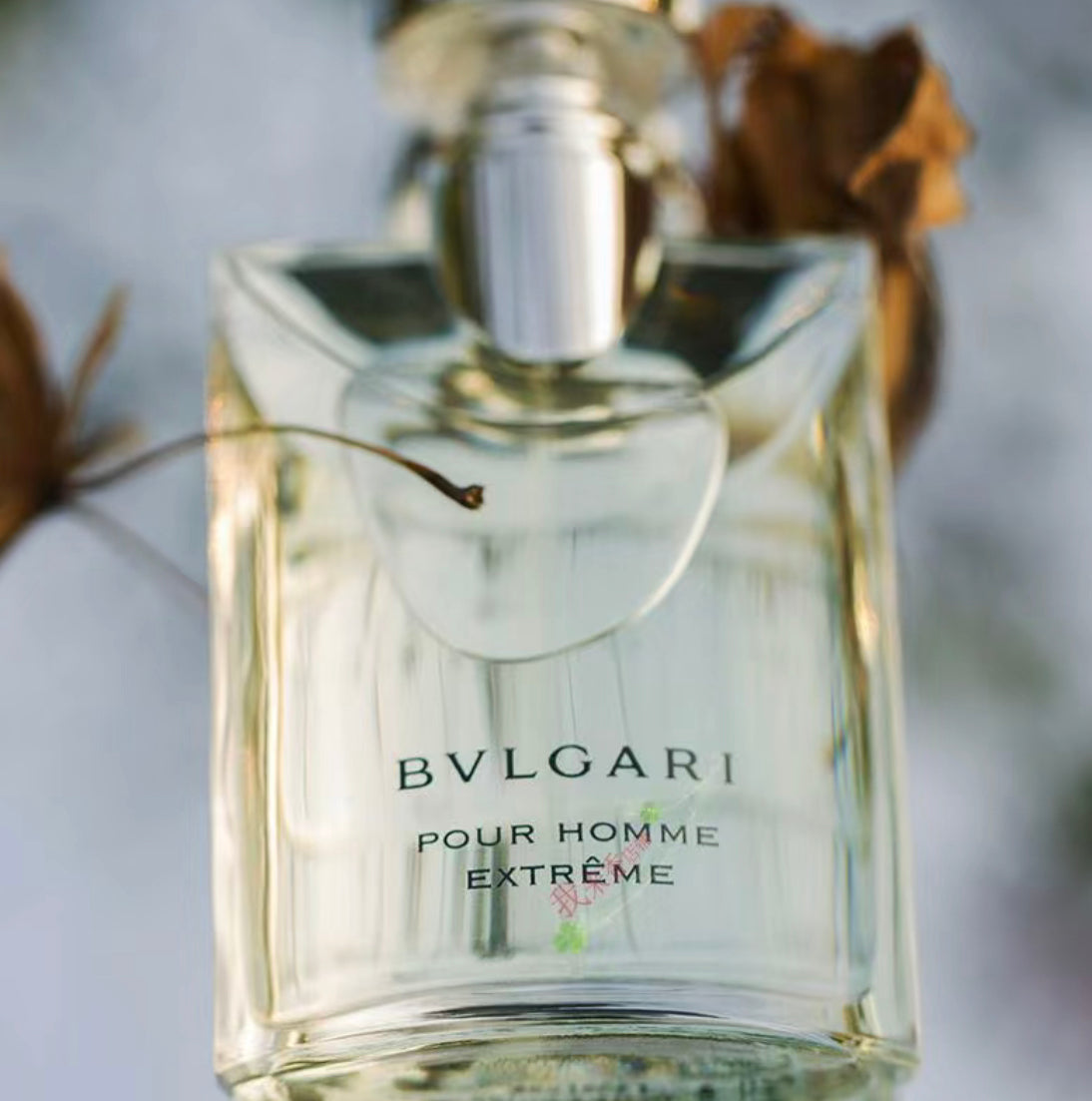 Bvlgari|Pour Homme Extreme|大吉岭茶極致版 |50ML