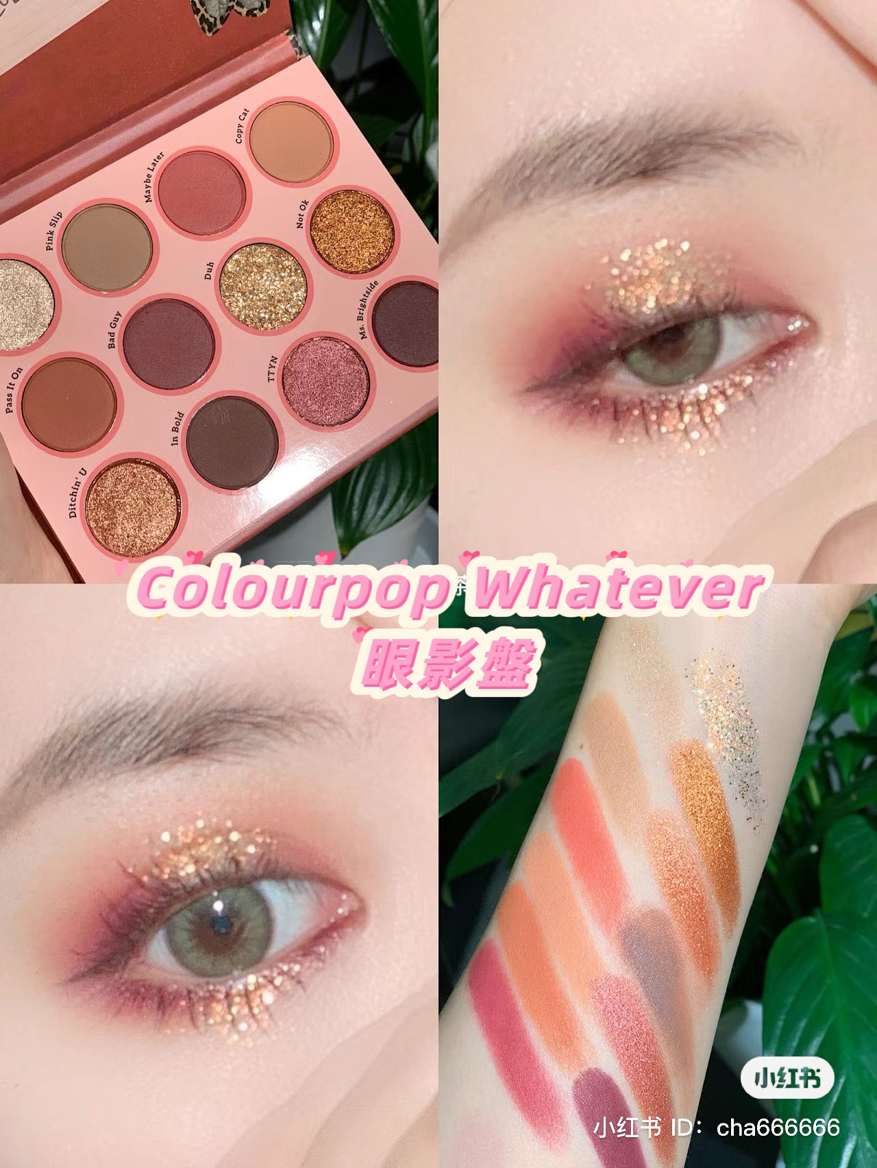 Colourpop | Whatever 酒紅色 | 12色眼影盤