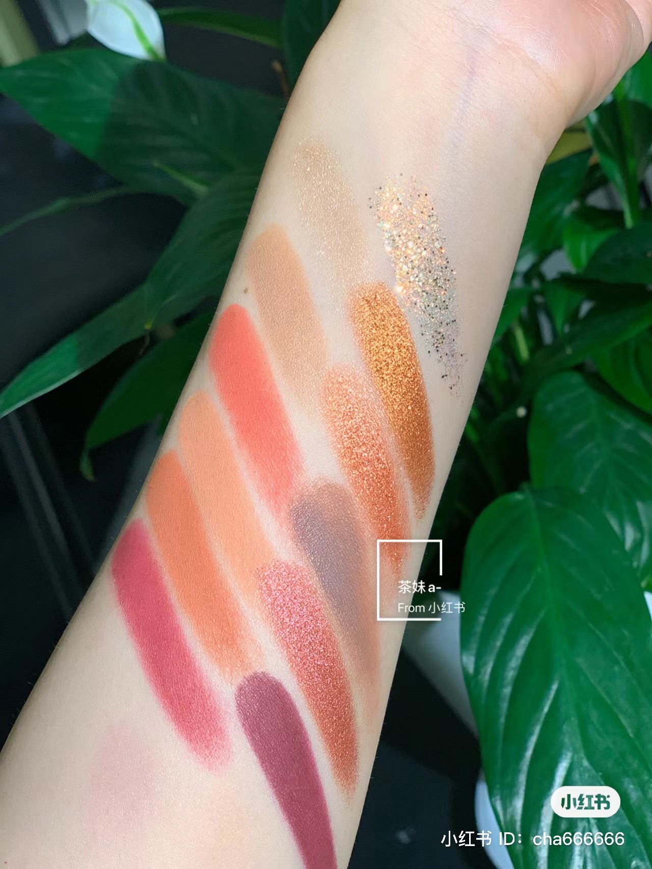 Colourpop | Whatever 酒紅色 | 12色眼影盤