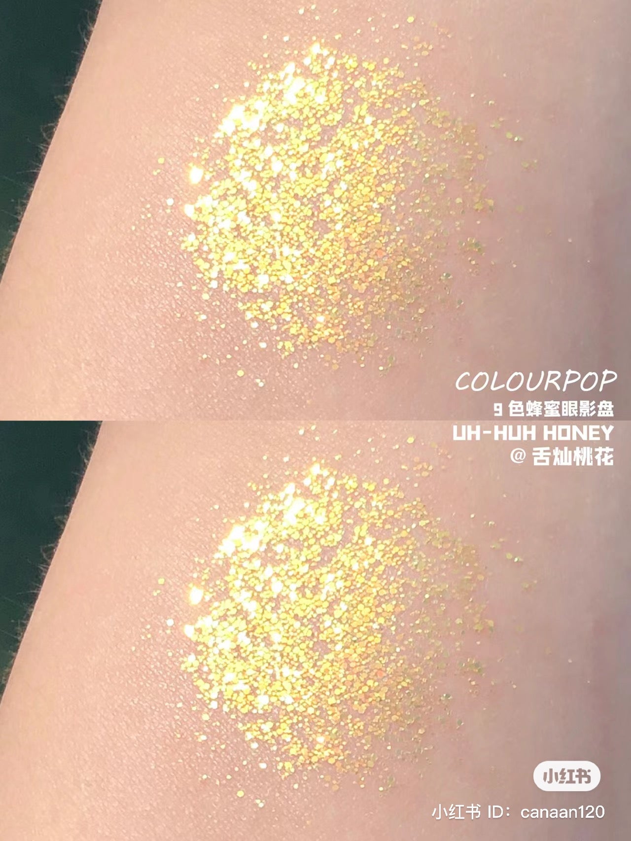 Colourpop | Uh-huh honey 蜂蜜盤 | 12色眼影盤