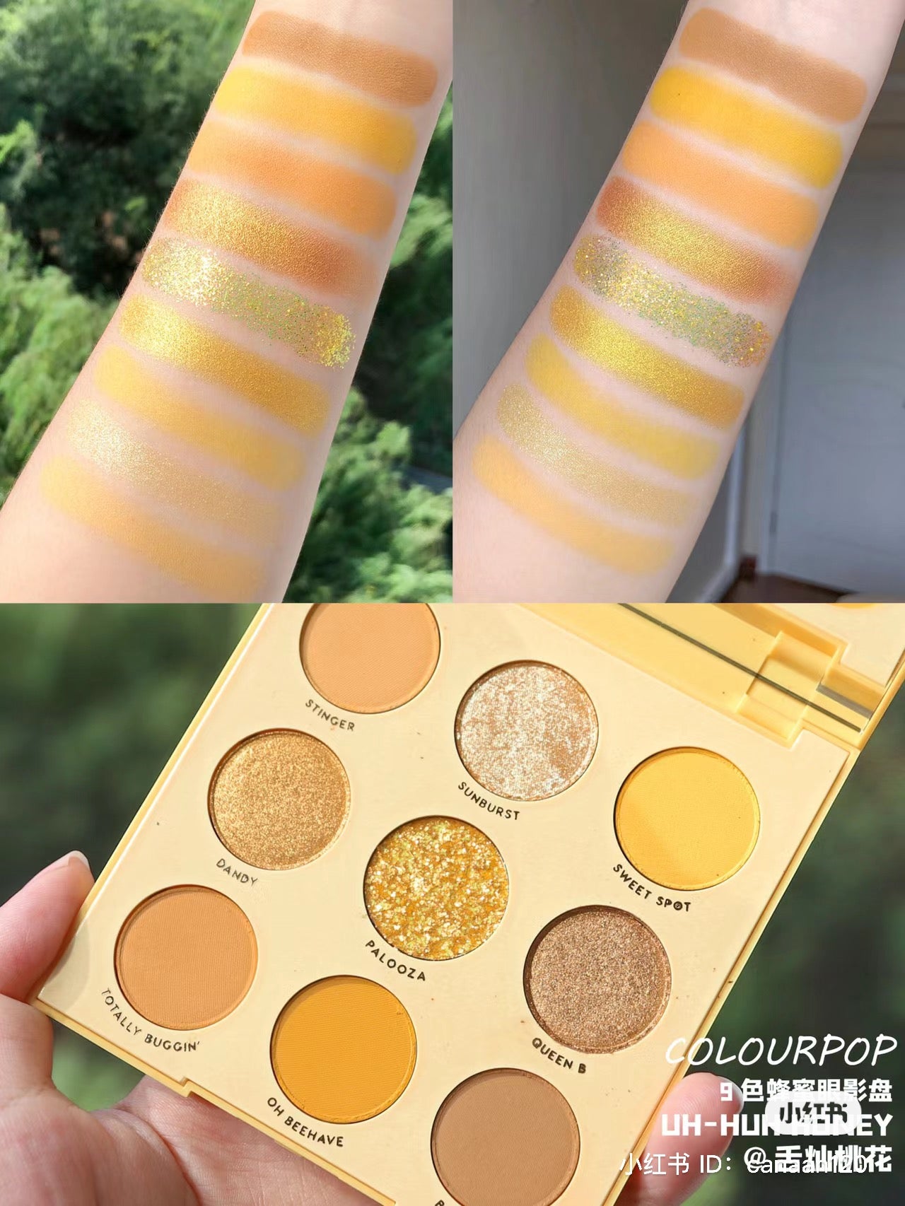 Colourpop | Uh-huh honey 蜂蜜盤 | 12色眼影盤