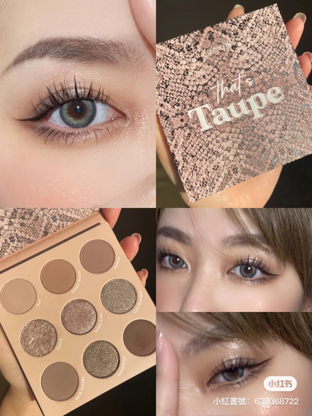 Colourpop | That's Taupe | 眼影盤