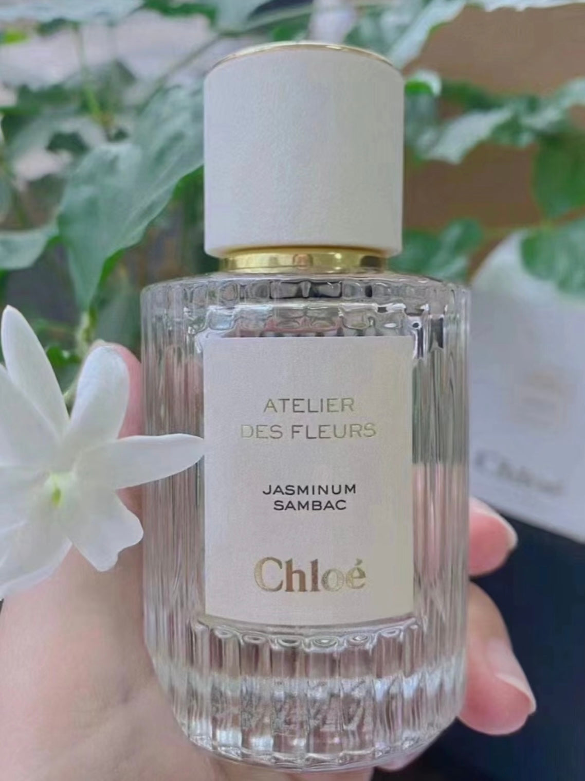 Chloe 仙境花園 煙雨茉莉濃香 150ml
